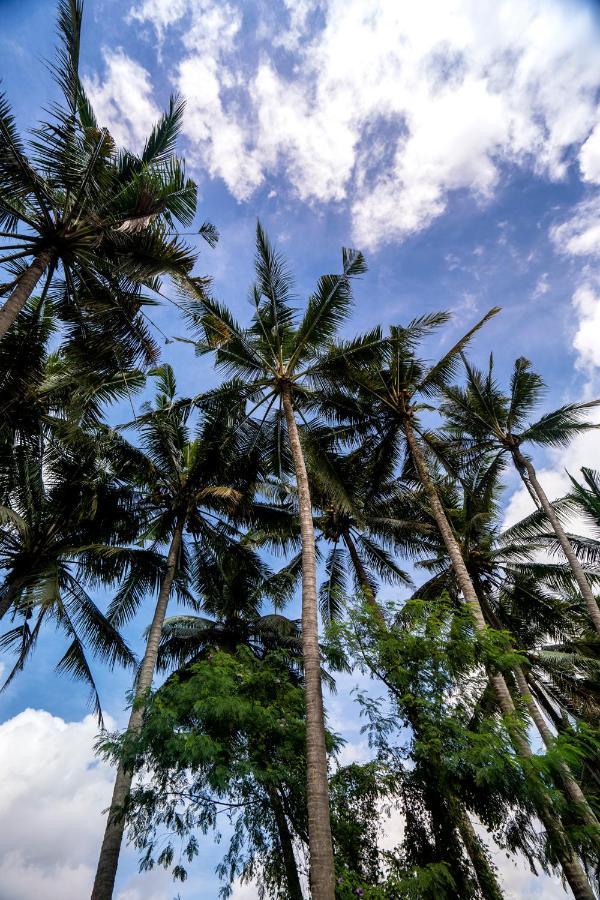 Bora Bora By Balisuperhost Villa Ubud